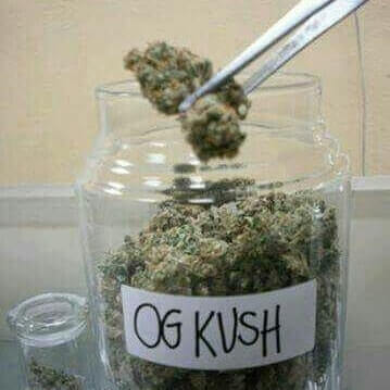 Buy OG Kush Online