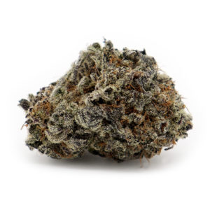 Buy purple haze weed Online