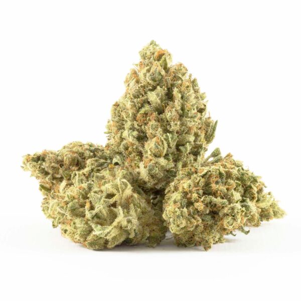 Buy Super Silver Haze Strain Online