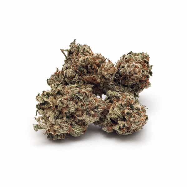 Buy Afghan Kush Online