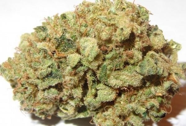 Wedding Cake Strain for Sale