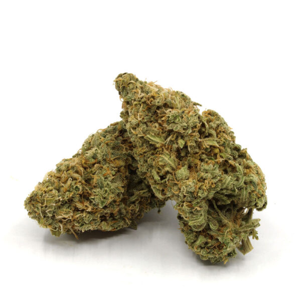 buy sativa bud online